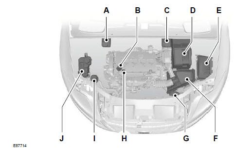 Widok ogólny obszaru pod pokrywą komory silnika - 1,6 L DURATEC-16V TI-VCT (SIGMA)
