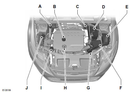 Widok ogólny obszaru pod pokrywą komory silnika - 1,6 L DURATORQ-TDCI (DV) DIESEL