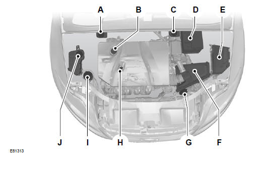 Widok ogólny obszaru pod pokrywą komory silnika - 2,3 L DURATEC-HE (MI4)