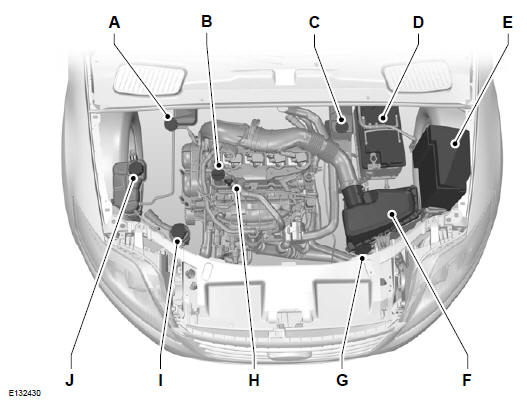 Widok ogólny obszaru pod pokrywą komory silnika  - 1,6 L ECOBOOST SCTI (SIGMA)