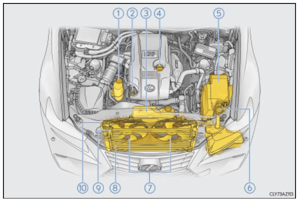 Lexus IS300h Komora silnikowa Czynności serwisowe do